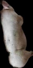 Crop