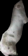 Crop
