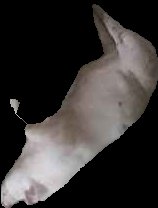 Crop
