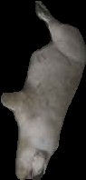Crop