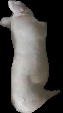 Crop