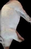 Crop