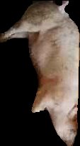 Crop