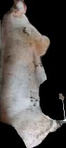 Crop