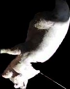 Crop