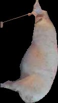 Crop