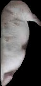 Crop