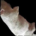 Crop