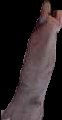 Crop