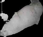 Crop