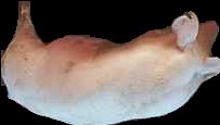 Crop