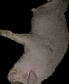 Crop