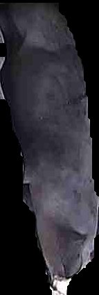 Crop