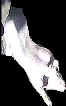 Crop