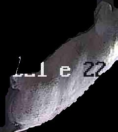 Crop