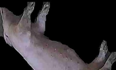 Crop