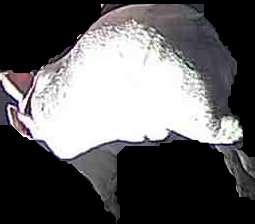 Crop