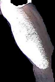 Crop