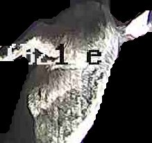 Crop