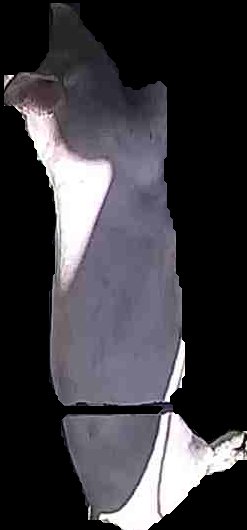Crop