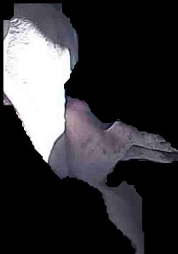 Crop