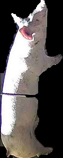 Crop