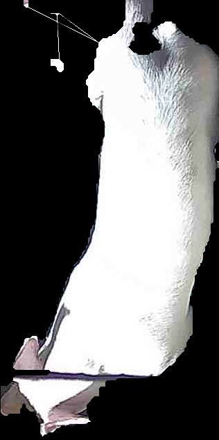 Crop