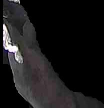 Crop