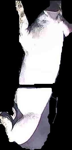 Crop