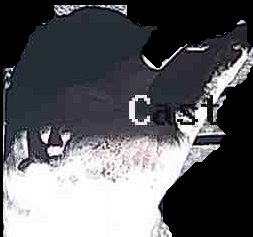 Crop
