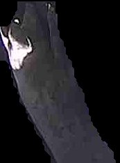 Crop