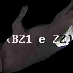Crop