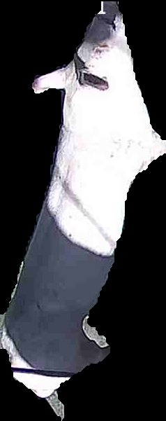 Crop