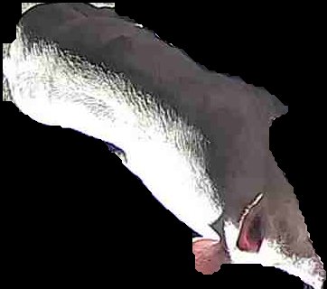 Crop