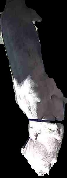 Crop