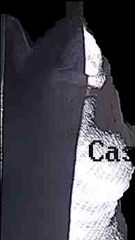 Crop