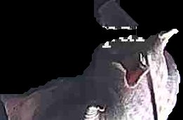 Crop