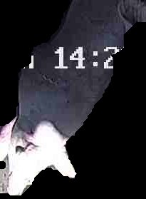 Crop