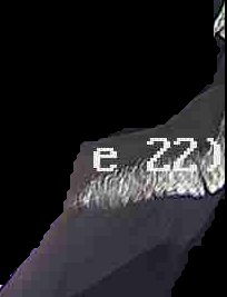 Crop