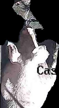 Crop