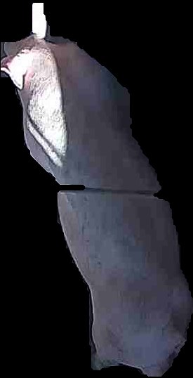 Crop