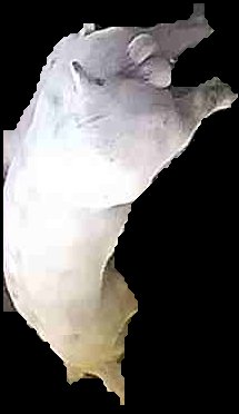 Crop