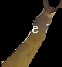 Crop