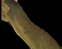 Crop