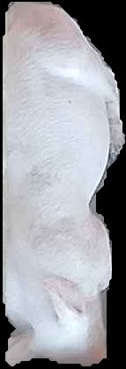 Crop