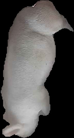Crop