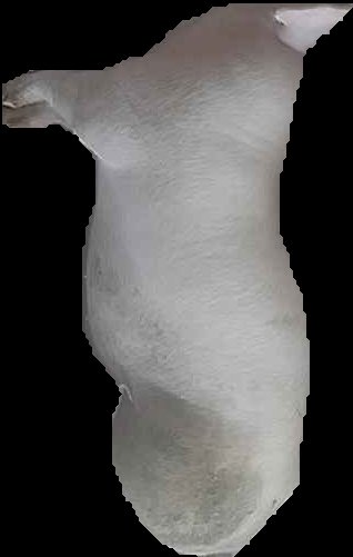 Crop