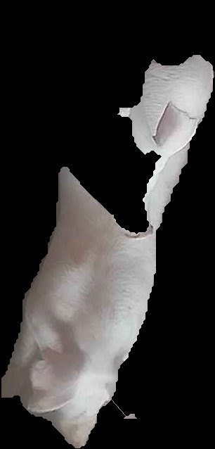 Crop