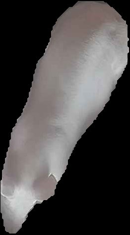 Crop