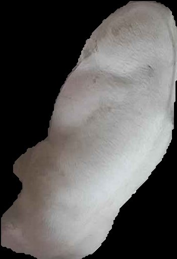 Crop